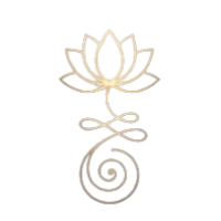 Step 5 Icon